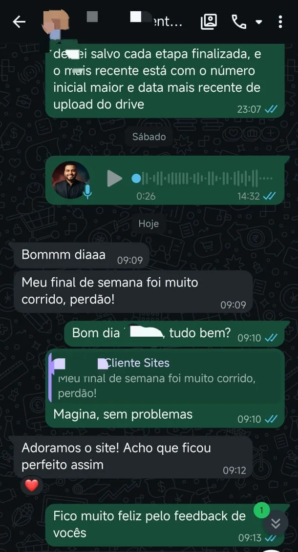 Conversa no WhatsApp em que os clientes dizem que adoraram o site